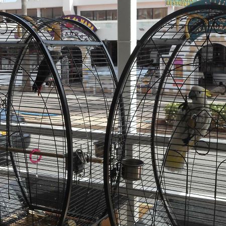 Kkaras Hotel 3 Star アヤナパ エクステリア 写真